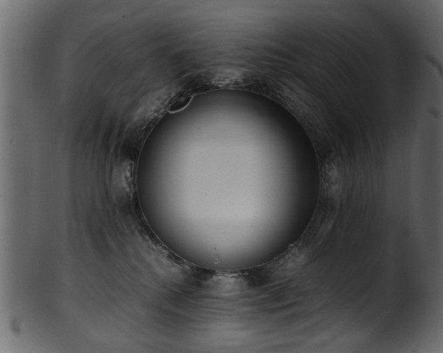 X0000102030280200807181357