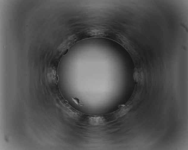 X0000102030281200807181357