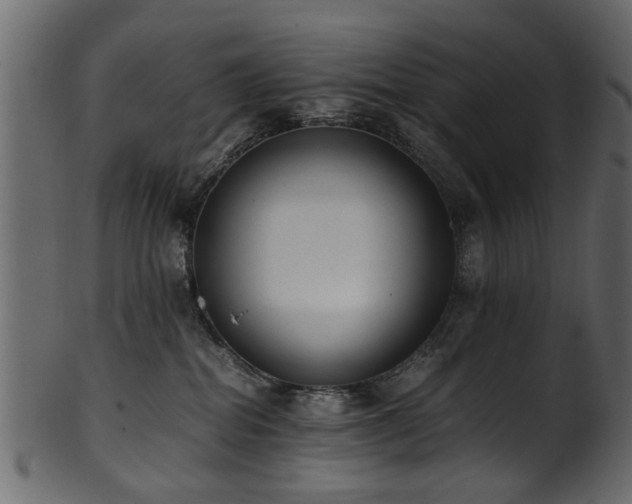 X0000102030282200807181357