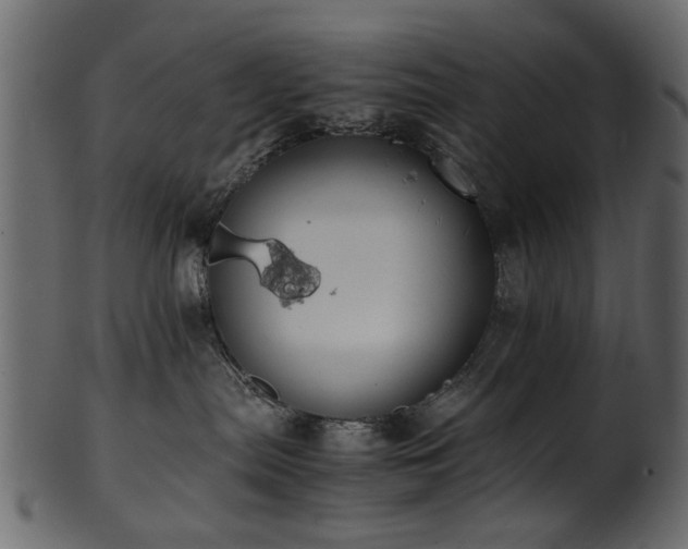 X0000102030287200807181357