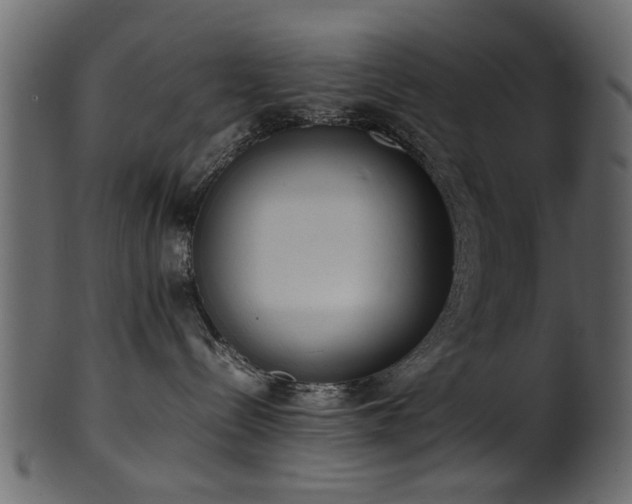 X0000102030288200807181357