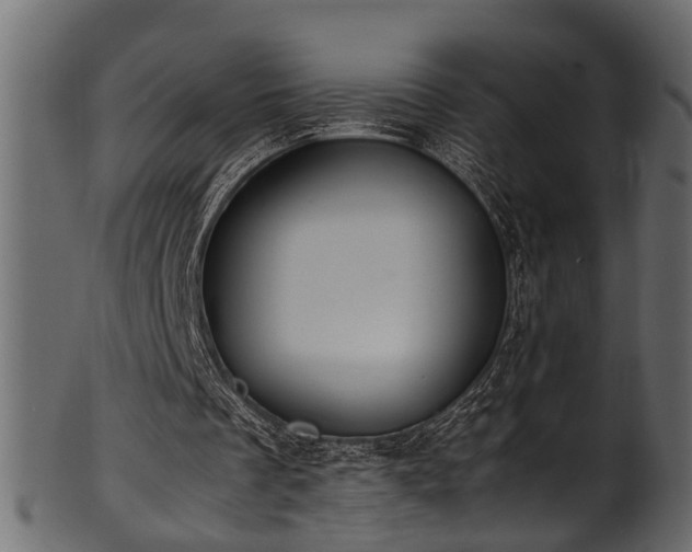 X0000102030289200807181356