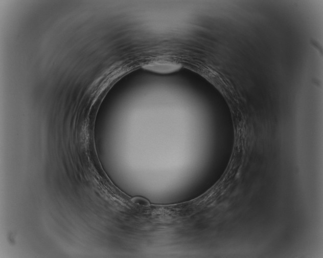 X0000102030290200807181356