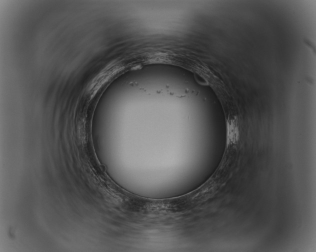 X0000102030291200807181356