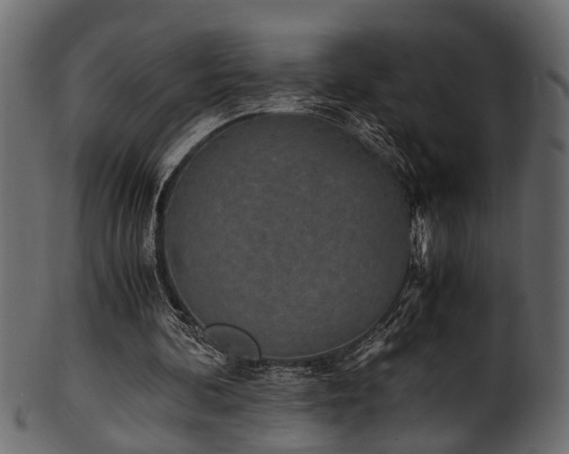 X0000102030292200807181356