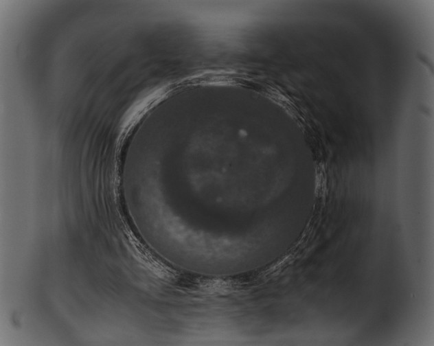 X0000102030293200807181356