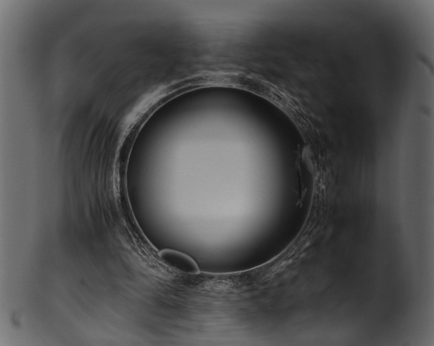 X0000102030294200807181356