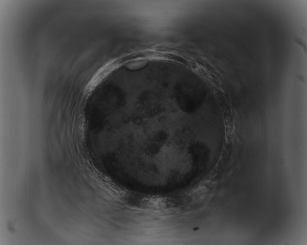 X0000102030295200807181356