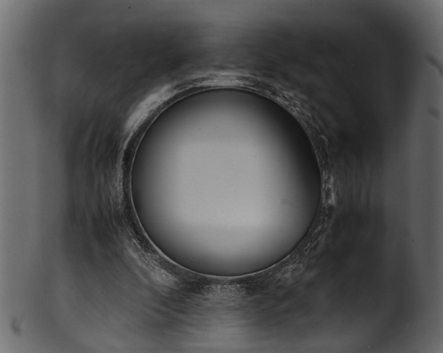 X0000102030296200807181356