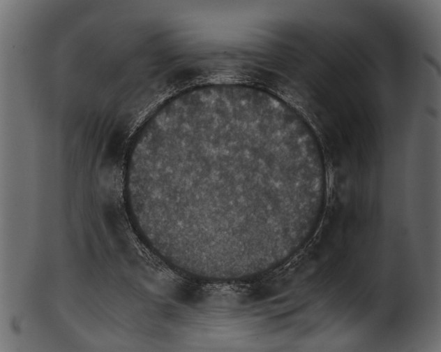 X0000102030297200807181356