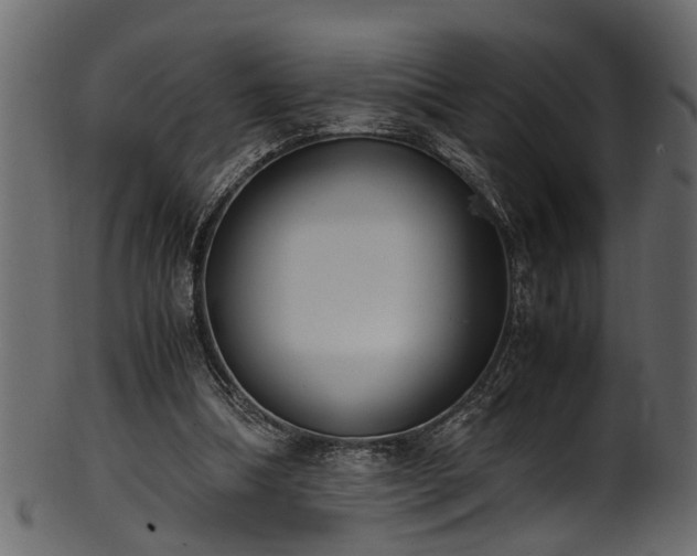 X0000102030298200807181356