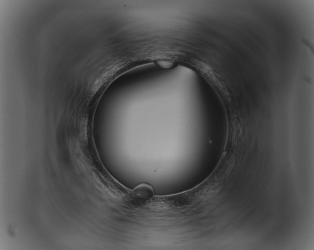 X0000102030299200807181356