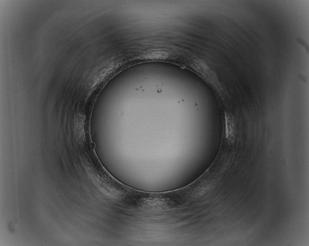 X0000102030300200807181356