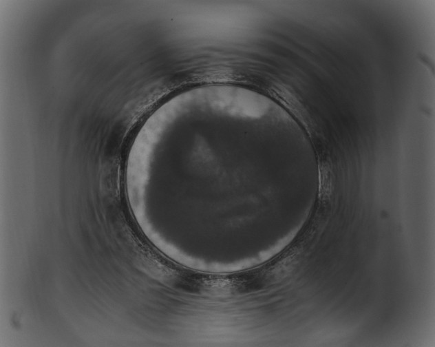 X0000102030301200807181356