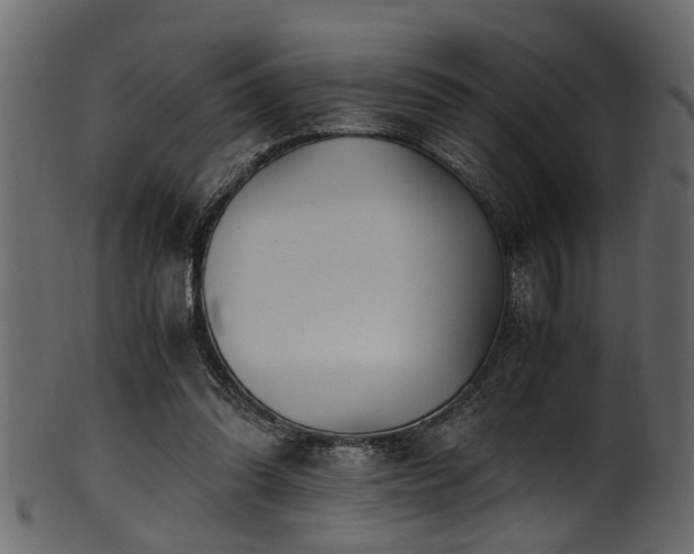 X0000102030302200807181356