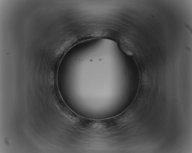 X0000102030303200807181356