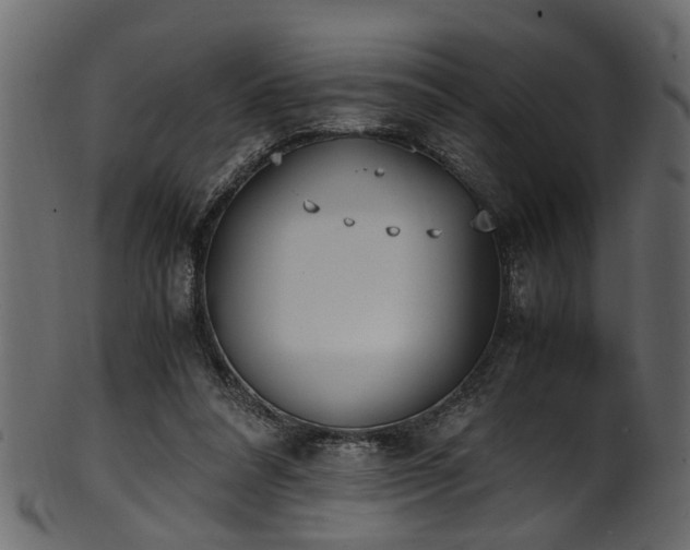 X0000102030304200807181356