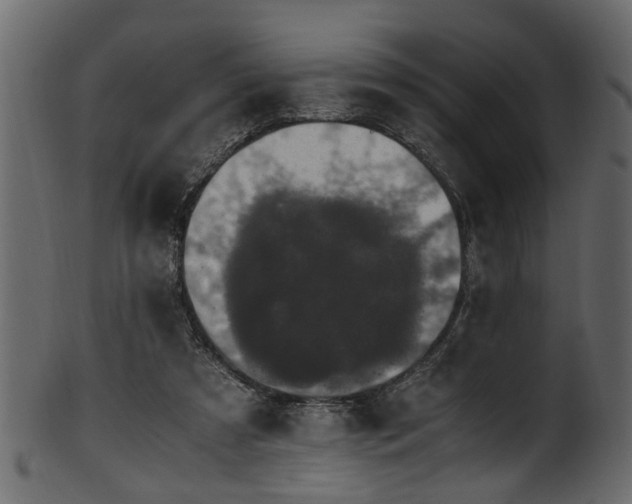 X0000102030305200807181356