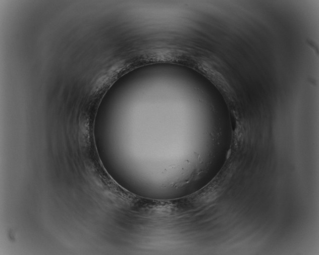 X0000102030306200807181356