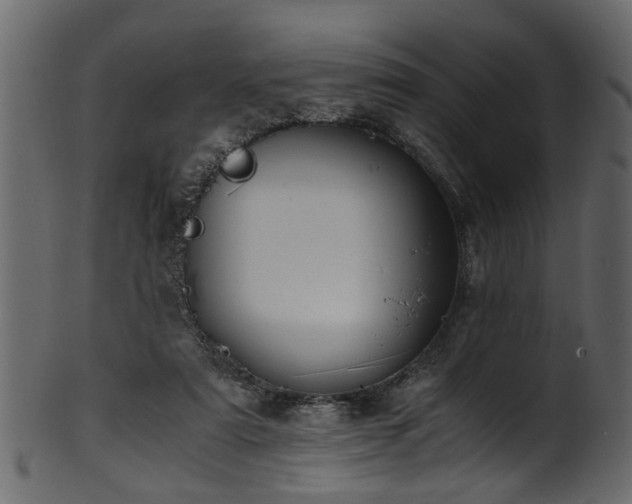 X0000102030307200807181356