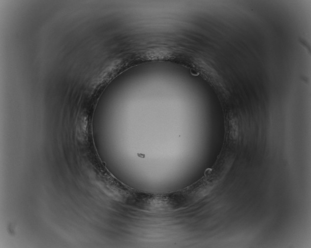 X0000102030308200807181356