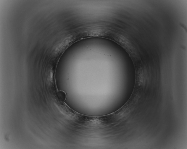 X0000102030310200807181356