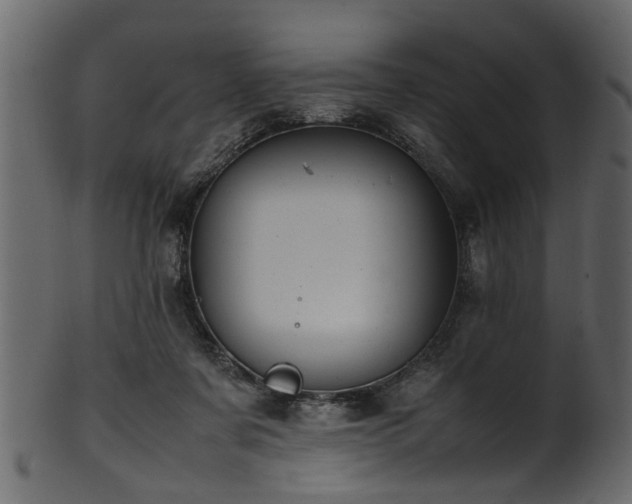 X0000102030311200807181356