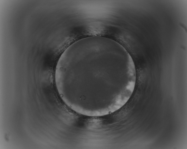 X0000102030313200807181356