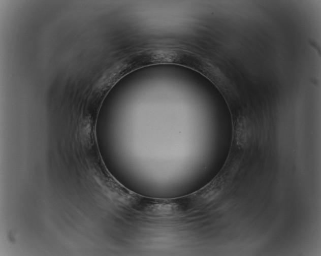 X0000102030314200807181356