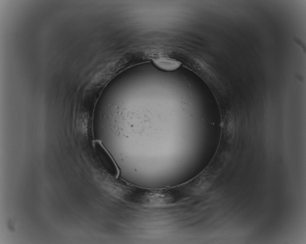 X0000102030315200807181356