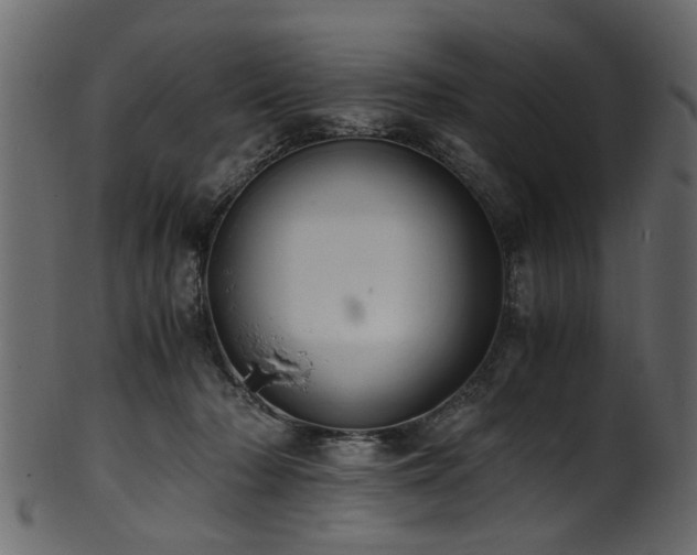 X0000102030318200807181356