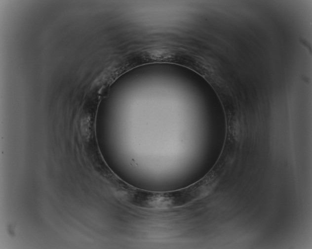 X0000102030319200807181356