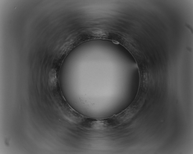 X0000102030320200807181356