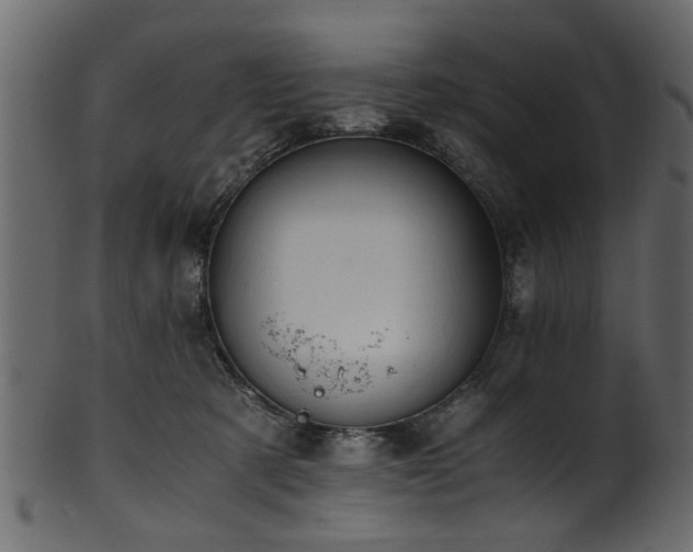 X0000102030321200807181356