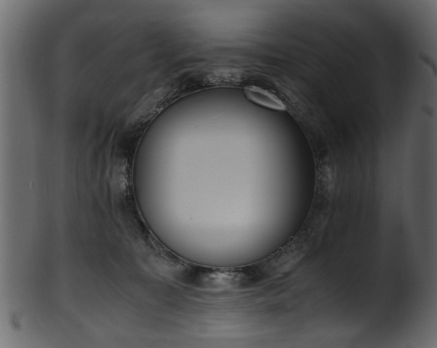 X0000102030323200807181356