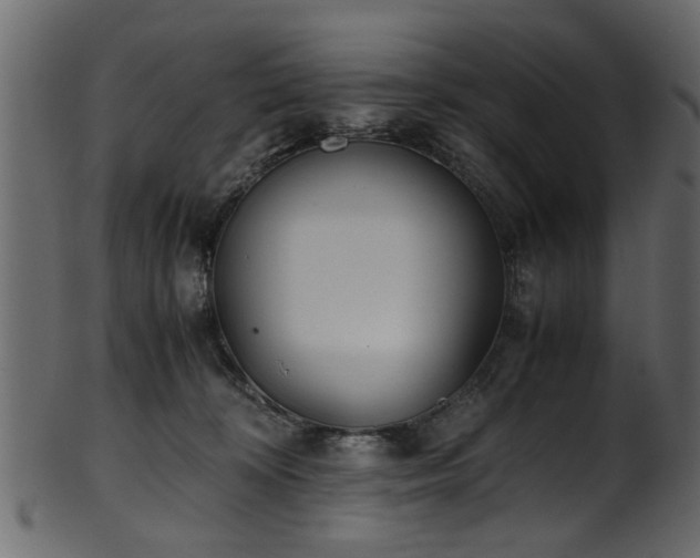 X0000102030324200807181356