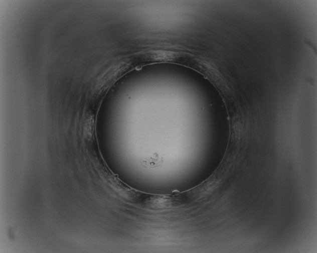 X0000102030325200807181356