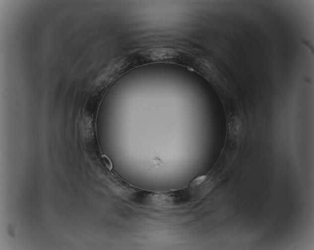 X0000102030327200807181356