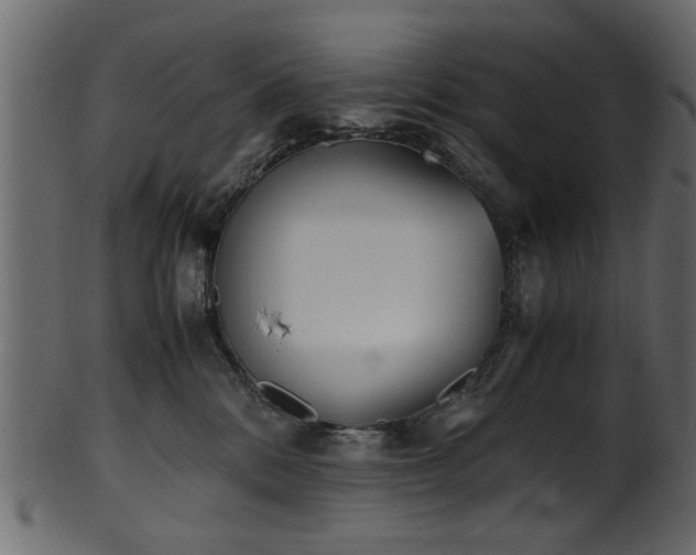 X0000102030328200807181356