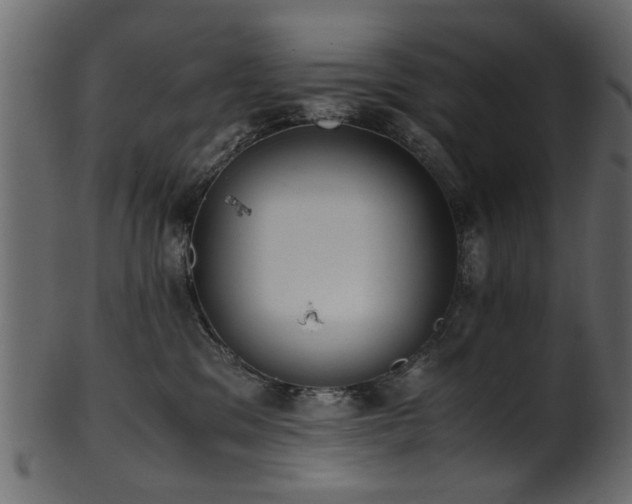 X0000102030329200807181356