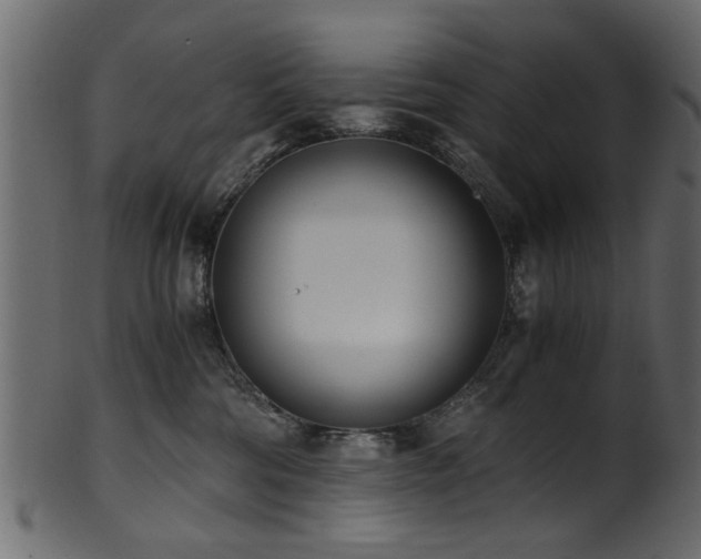 X0000102030330200807181356