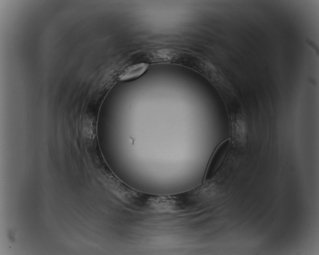 X0000102030331200807181356