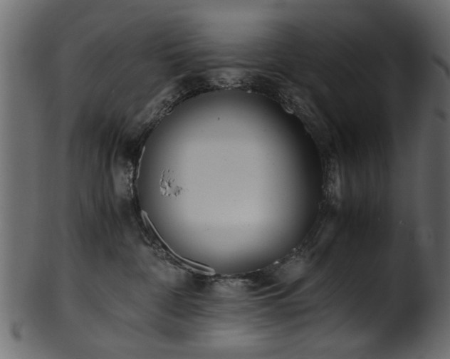 X0000102030332200807181356