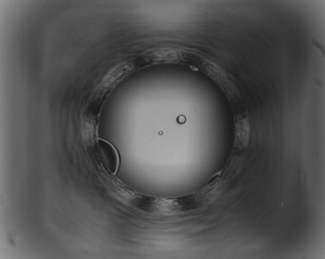 X0000102030333200807181356