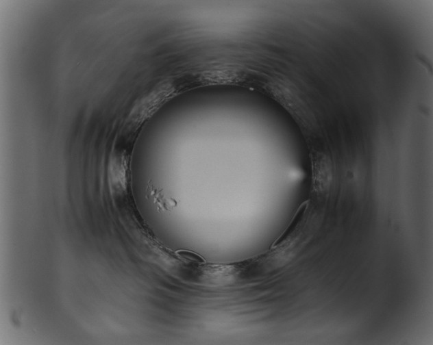 X0000102030334200807181356