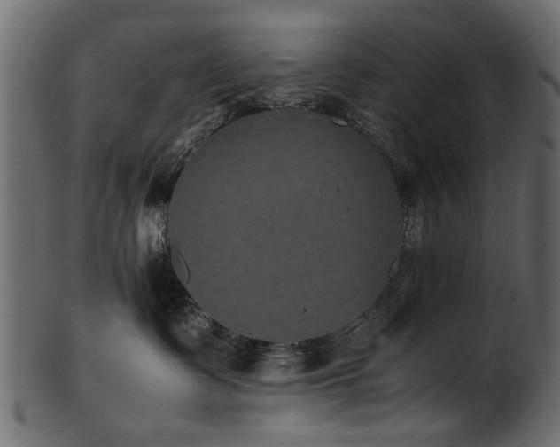 X0000102030335200807181356