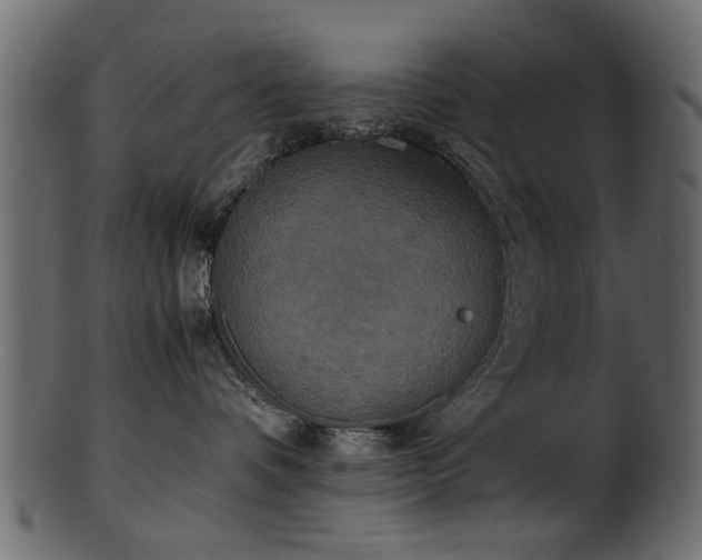 X0000102030336200807181356