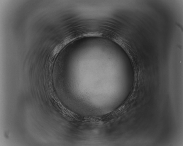 X0000102030337200807181355