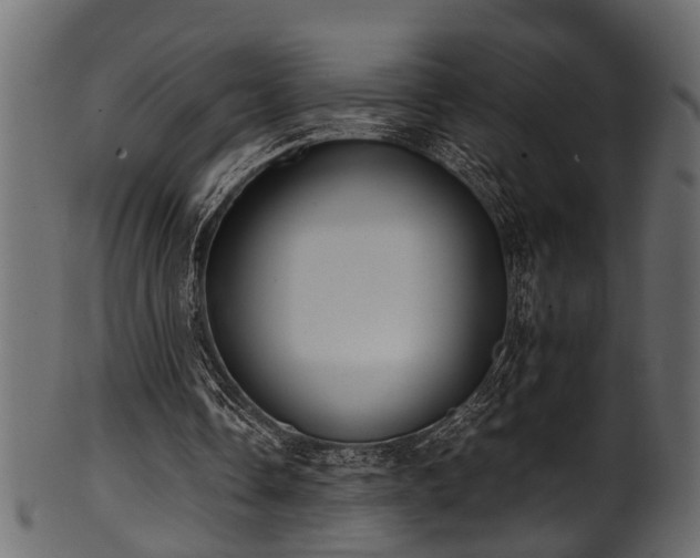 X0000102030338200807181355