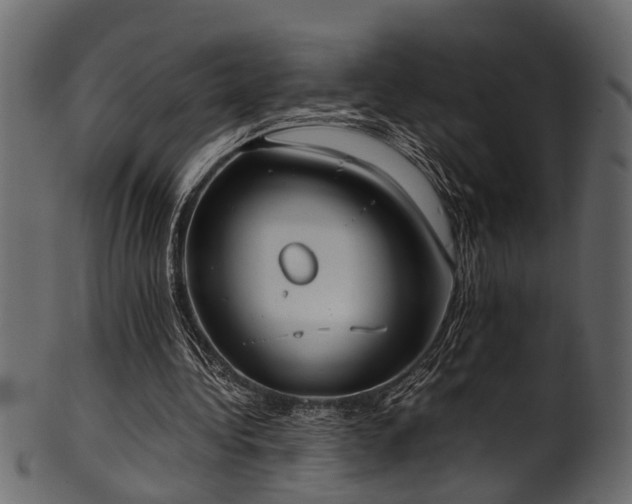 X0000102030340200807181355